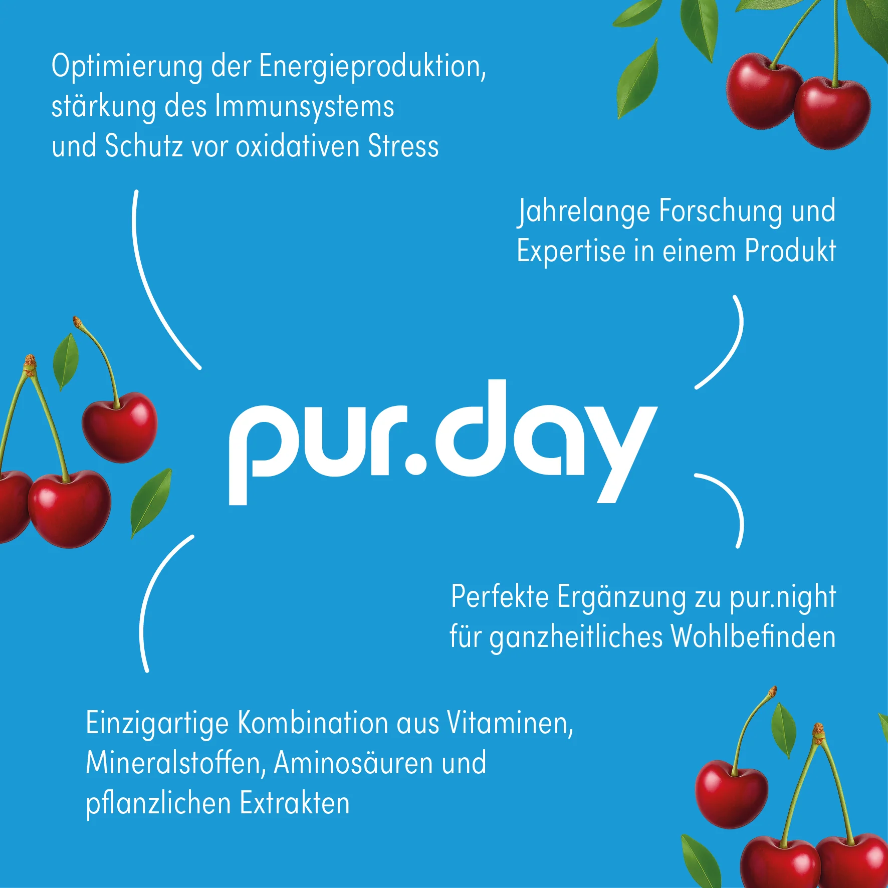 Vorschaubild 12